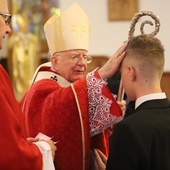 Abp Jędraszewski: Nie ma większej radości serca niż móc być świadkiem Chrystusa