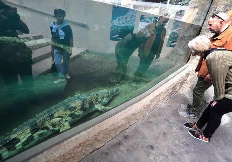 Orientarium w łódzkim zoo