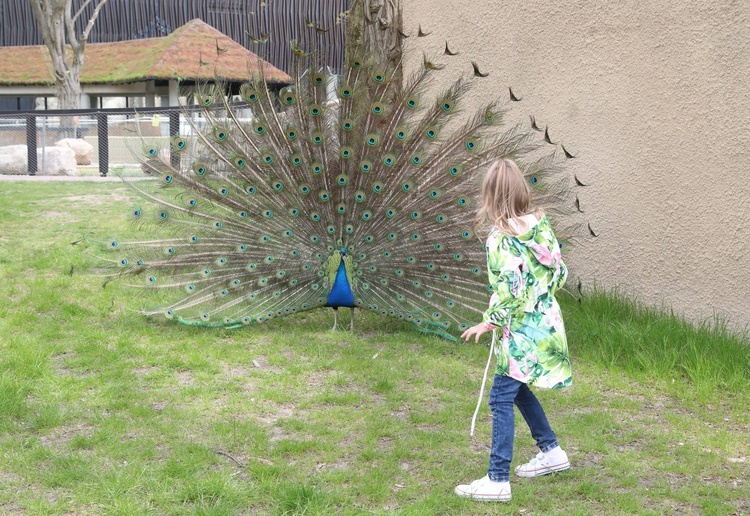 Orientarium w łódzkim zoo