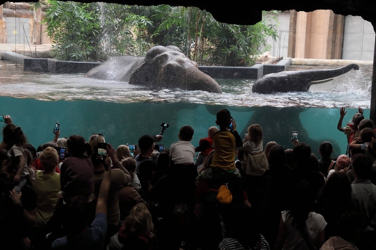 Orientarium w łódzkim zoo