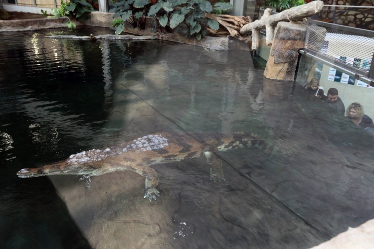 Orientarium w łódzkim zoo