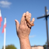 Spotkanie rozpocznie się 8 maja o 15.00. Niezmienne przyświeca mu hasło: "Weź syna, nie zapomnij o ojcu".