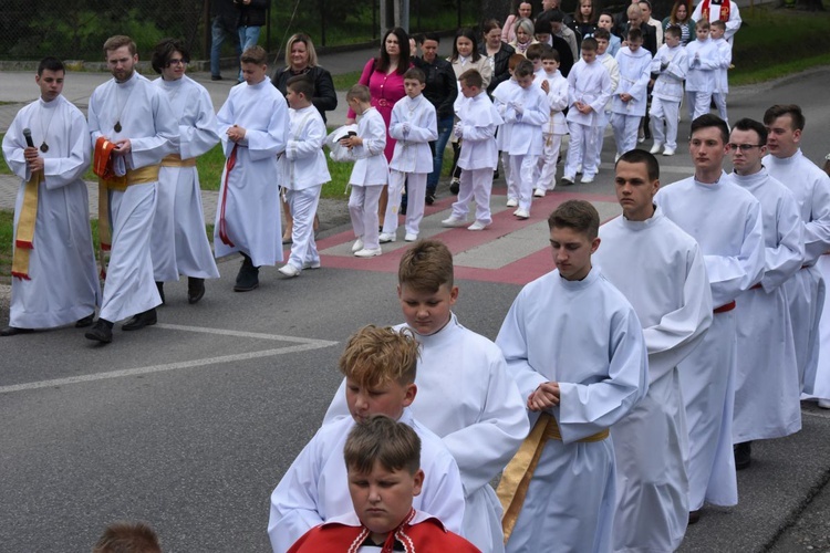 Procesja stanisławowska w Szczepanowie