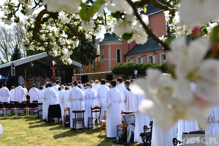 Diecezjalna Pielgrzymka Służby Liturgicznej Ołtarza do Paradyża 