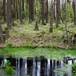 Wystawa fotografii Romana Pawluka