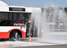 Mistrzowie autobusów