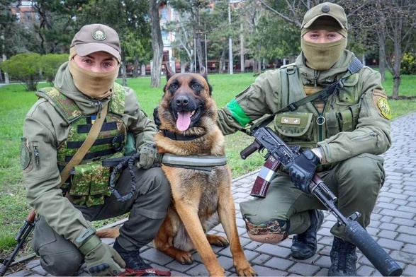 Pies rosyjskiej Rosgwardii uratowany z walk w obwodzie mikołajewskim w ciągu niespełna miesiąca nauczył się komend w języku ukraińskim i będzie służył w ukraińskiej Gwardii Narodowej - podała w sobotę agencja UNIAN.