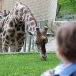 Spacer po krakowskim ZOO 