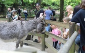 Spacer po krakowskim ZOO 