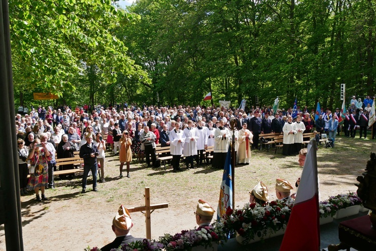 Odpust ku czci św. Wojciecha 2022