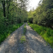 Budząca się natura