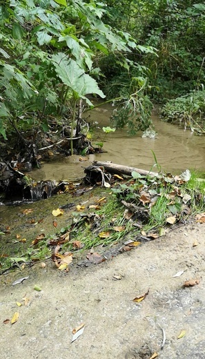 Natura wokół nas