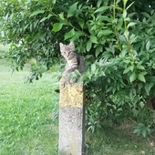 Natura wokół nas