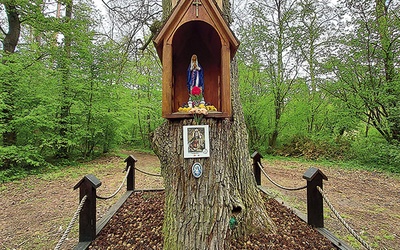 ▲	W Głogowcu o ważnych wydarzeniach przypomina „domek” w lesie.