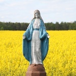 Słupca (parafia Blichowo). Piękno przyrody jest najwspanialszą ozdobą dla Maryi