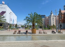 Katowice. Palmy wróciły na rynek