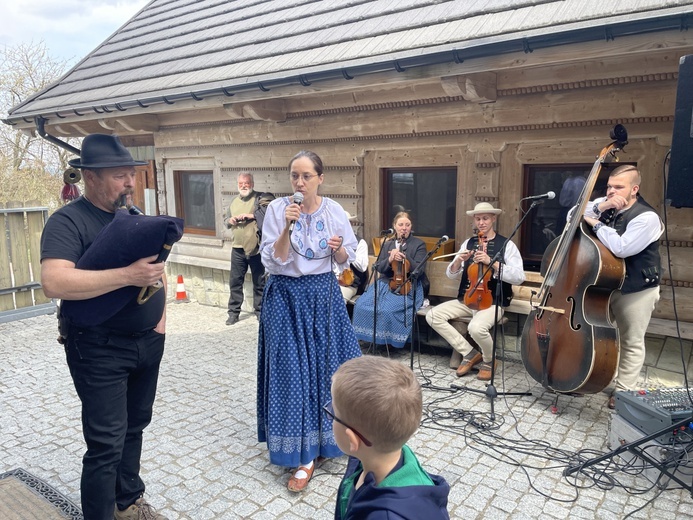 Mieszanie owiec u bacy Piotra Kohuta w Koniakowie