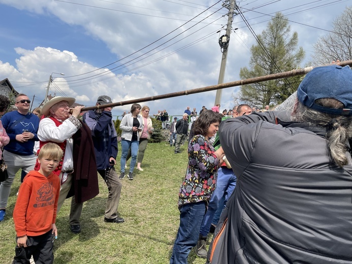 Mieszanie owiec u bacy Piotra Kohuta w Koniakowie