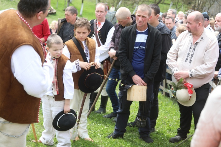 Mieszanie owiec u bacy Piotra Kohuta w Koniakowie