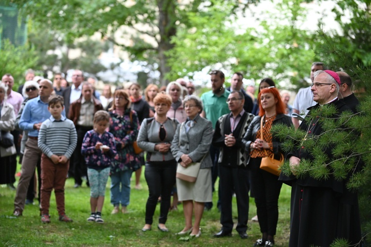 Spotkanie presynodalne w Świdnicy