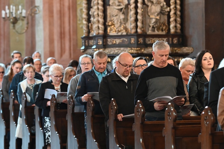 Spotkanie presynodalne w Świdnicy