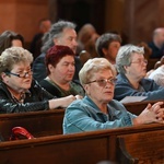 Spotkanie presynodalne w Świdnicy