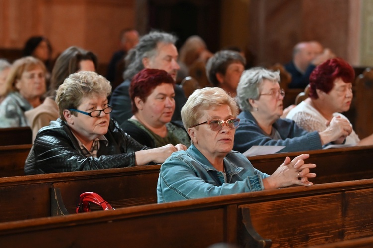 Spotkanie presynodalne w Świdnicy