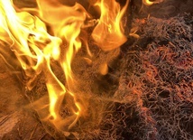Miasteczko Śląskie. Strażacy opanowali 50-hektarowy pożar