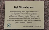 I Dni Dulcissimiańskie