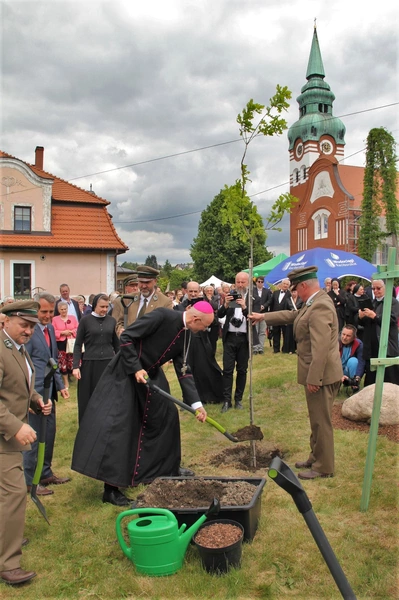 I Dni Dulcissimiańskie