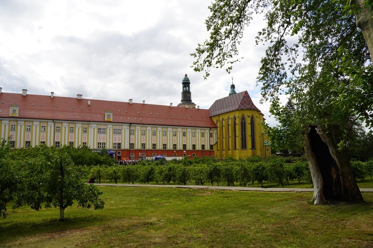 IX Majówka w Ogrodach Klasztornych w Trzebnicy
