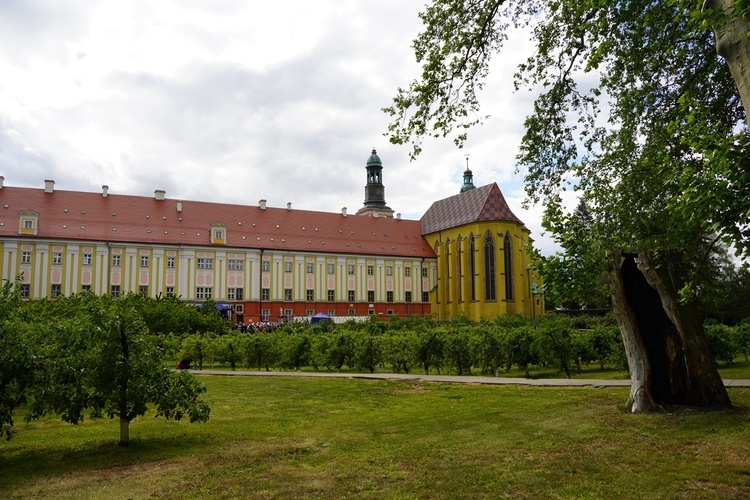 IX Majówka w Ogrodach Klasztornych w Trzebnicy