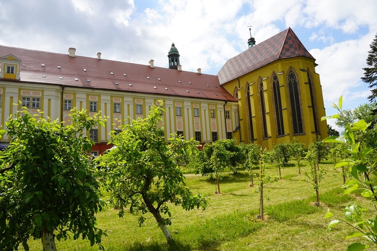 IX Majówka w Ogrodach Klasztornych w Trzebnicy