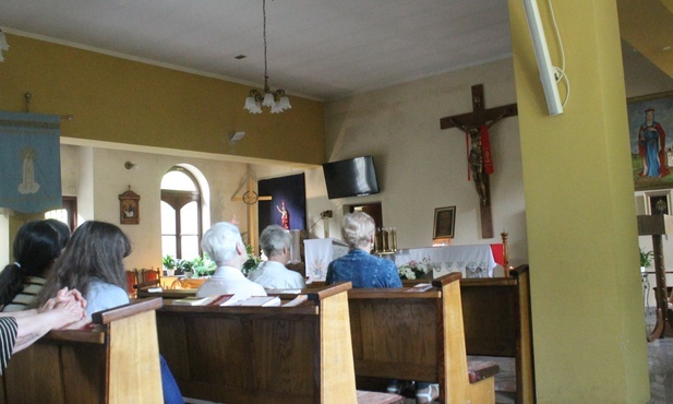 Legnica. Droga Światła