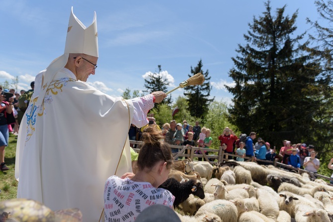 Wiosna ludów w Beskidzie Żywieckim