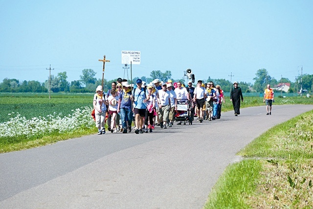 ▲	Trasa prowadzi  m.in. przez malownicze Żuławy Gdańskie.