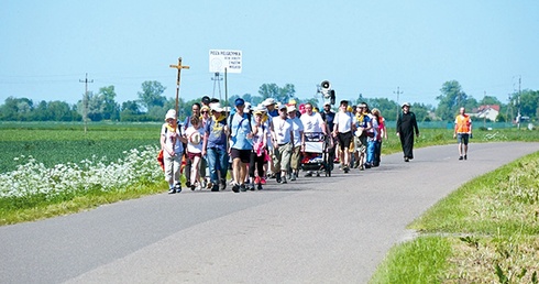 ▲	Trasa prowadzi  m.in. przez malownicze Żuławy Gdańskie.
