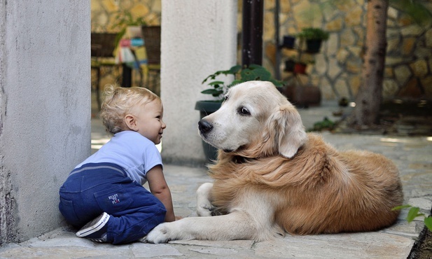 Dzieciństwo z psem może zapobiegać chorobie Leśniowskiego-Crohna