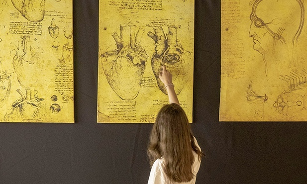 Wiedzę na temat ludzkiej anatomii da Vinci zdobywał, m.in. uczestnicząc w sekcjach zwłok.