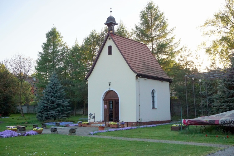 Centrum Szensztackie w Rokitnicy