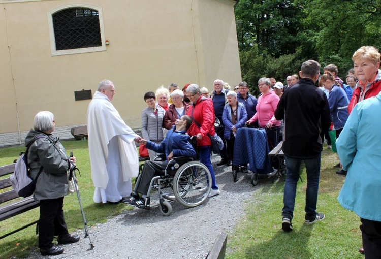 Pielgrzymka chorych i niepełnosprawnych