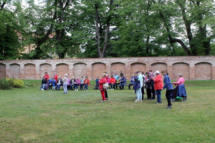 Pielgrzymka chorych i niepełnosprawnych