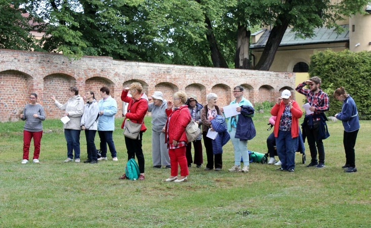 Pielgrzymka chorych i niepełnosprawnych