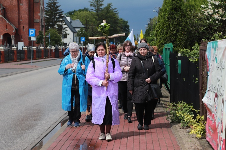 IX DPK. Wędrówka z Radziwiłłowa Mazowieckiego