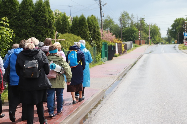 IX DPK. Wędrówka z Radziwiłłowa Mazowieckiego