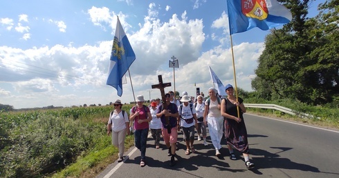 Pielgrzymka. Pójdź i zobacz