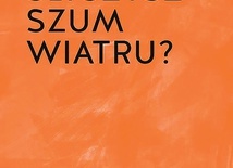 Wilfrid Stinissen OCD
Słyszysz szum wiatru?
W drodze
Poznań 2022
ss. 136