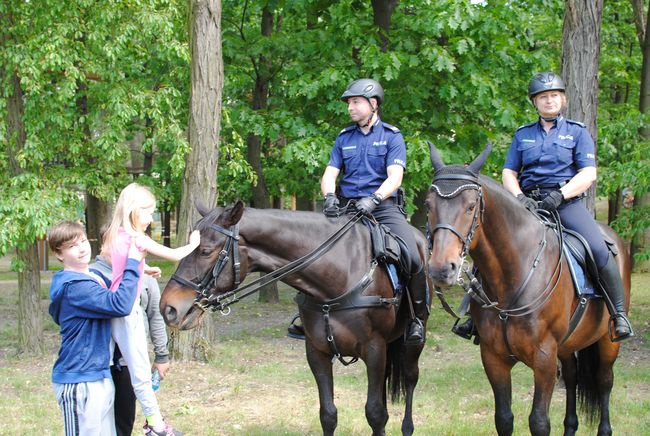 Stalowa Wola. Dzień Dziecka w parku