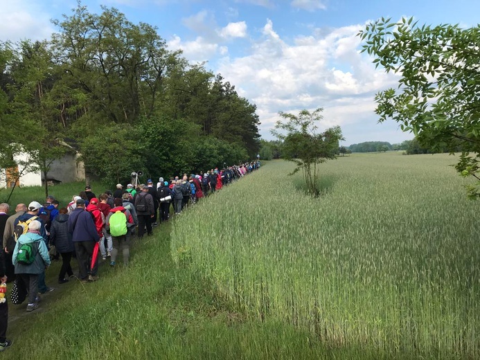 W pielgrzymce uczestniczyło ok. 230 osób.