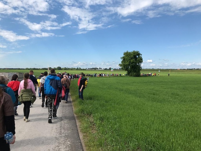 367. Łowicka Pielgrzymka na Jasną Górę